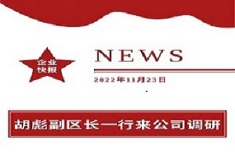 胡彪副区长一行来公司调研