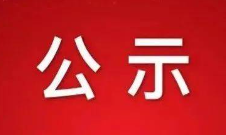 关于我司申报2025年度浙江省科学技术奖（科学技术进步奖）的公示